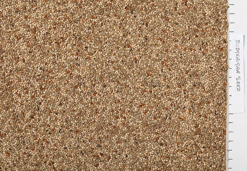Johnston & Jeff Budgerigar Seed