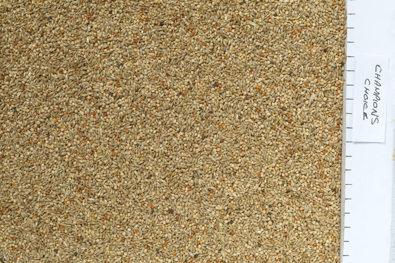 Johnston & Jeff Champions Choice Budgieseed 20kg