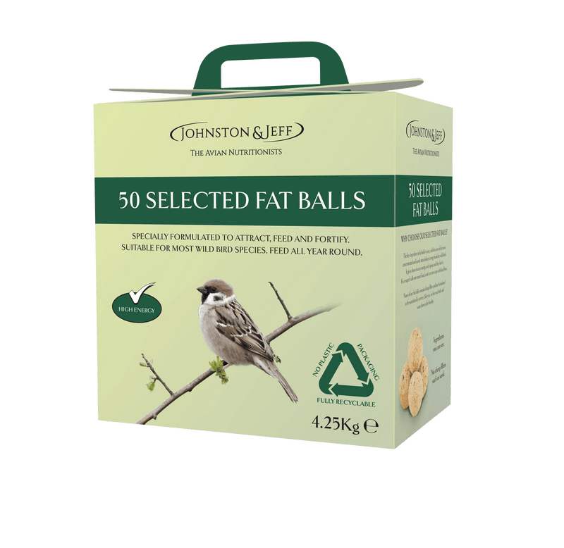 Johnston & Jeff Fatballs Refill No Nets Box x50