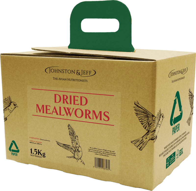 Johnston & Jeff Mealworms in EcoBox