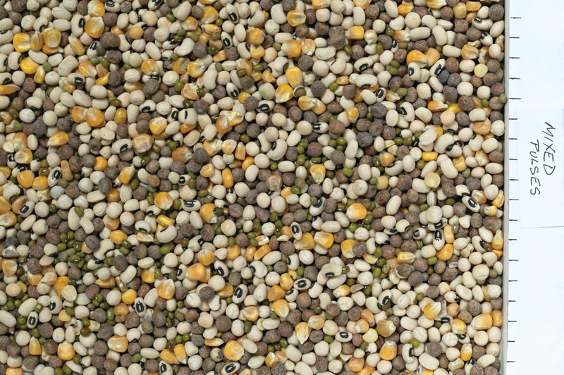 Johnston & Jeff Mixed Pulses