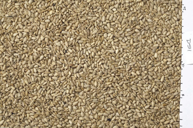 Johnston & Jeff White Sunflowerseed 10kg