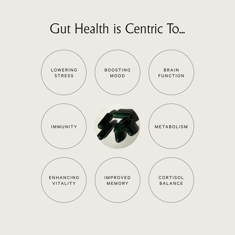 Juna Gut Therapy | Advanced Brain & Gut Health - 80 Caps