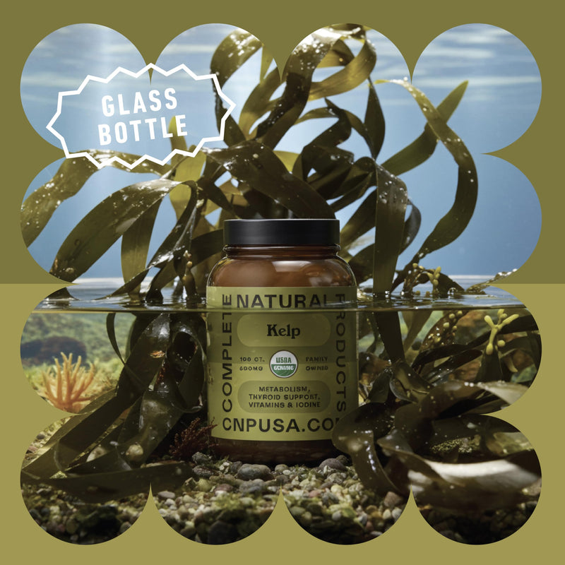 Raw Sea Kelp Powder Capsules 600mg – 100 Vegetarian, Gluten-Free, Thyroid Support