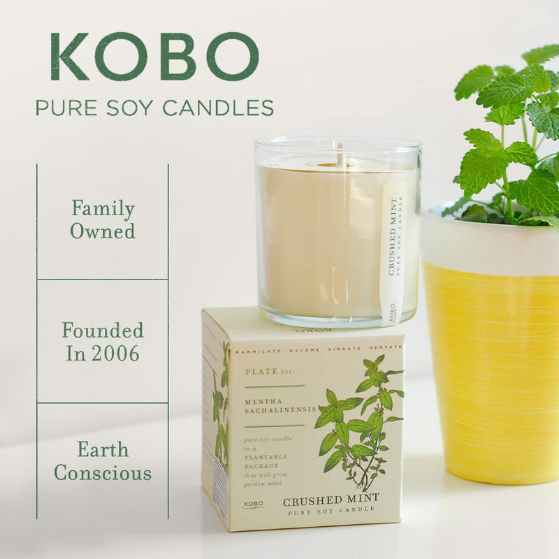 KOBO Wild Tomato Vine Candle | Plantable Box | 9 oz Soy Wax