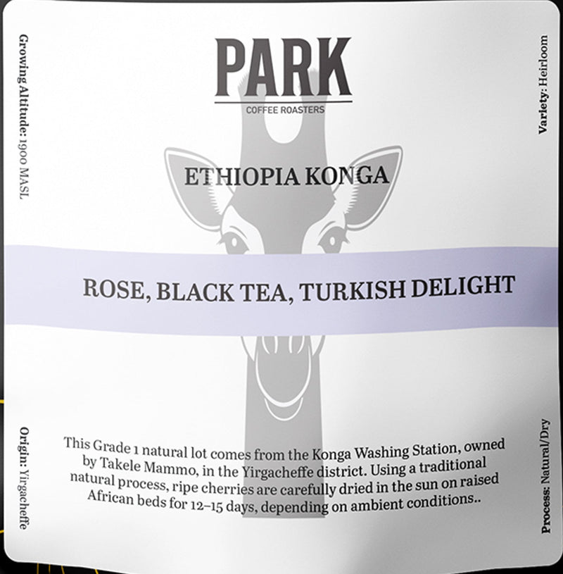 Ethiopia Konga Coffee