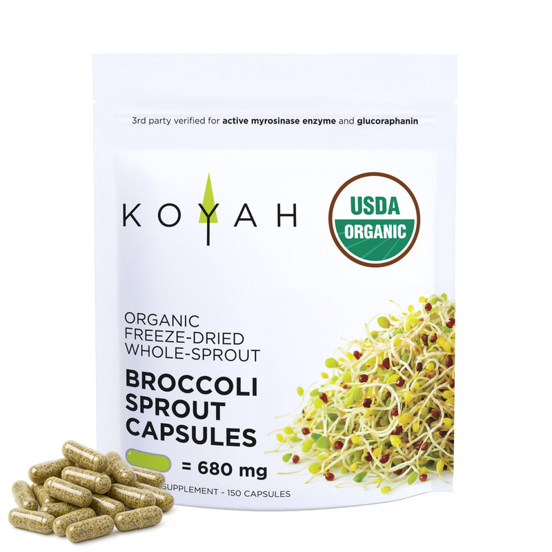 KOYAH Organic Broccoli Sprout Capsules – Freeze-Dried Whole Sprouts, Active Myrosinase & Glucoraphanin, USA Grown, 150 Capsules