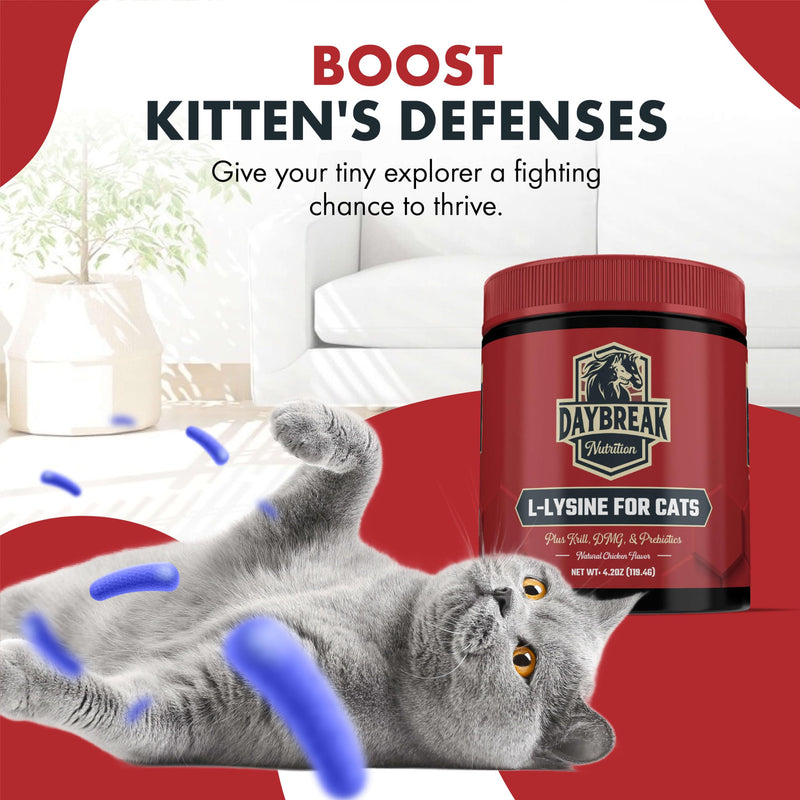 L-Lysine for Cats & Kittens - 900 mg Powder for Immunity & Respiratory Support
