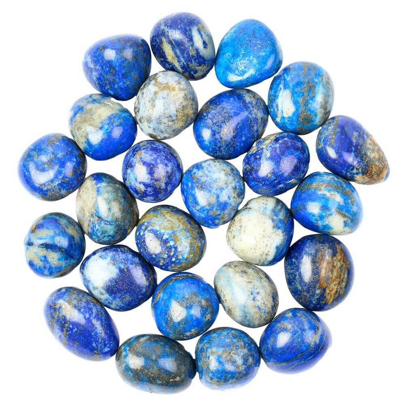 Lapis Lazuli Tumbled Collectible Semi-Precious Gemstone