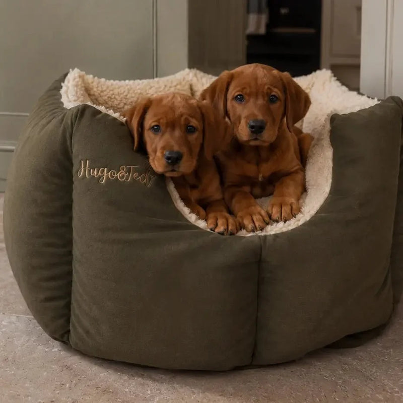 Large Waterproof Fortress Dog Bed - Ready Made