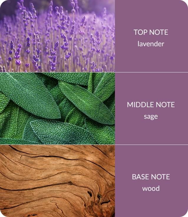 Lavender & Sage Essential Oil Blend  - 10ml Concentrated Oil