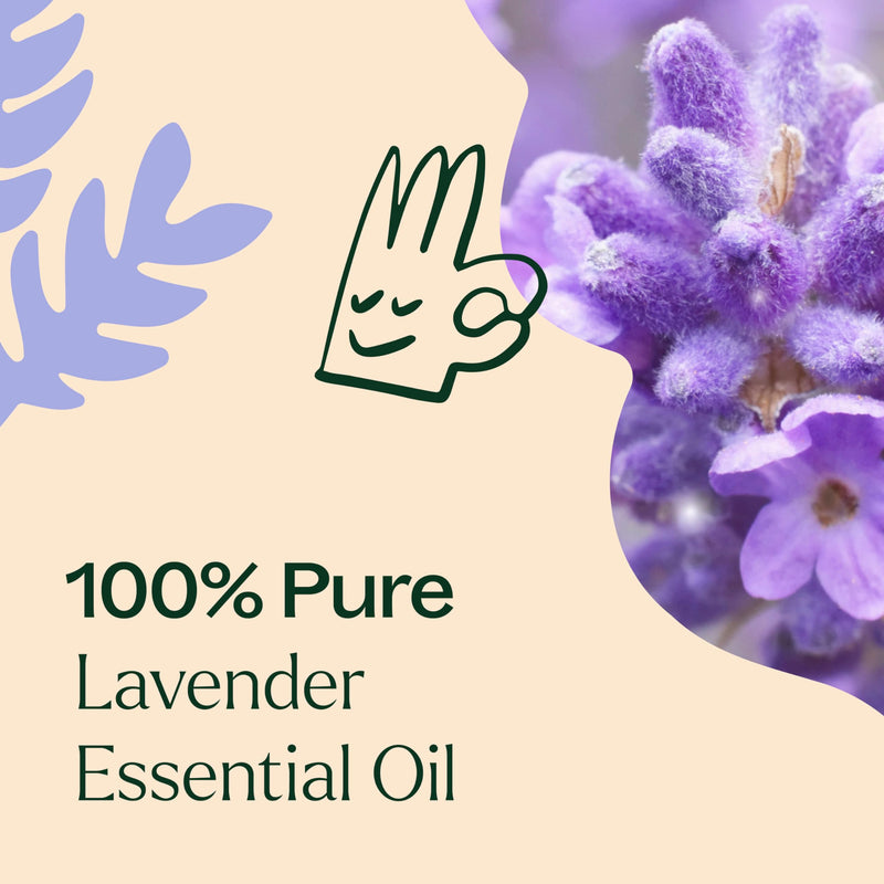 Plant Therapy Lavender Essential Oil – 100% Pure, Undiluted, Therapeutic Grade (10 mL)