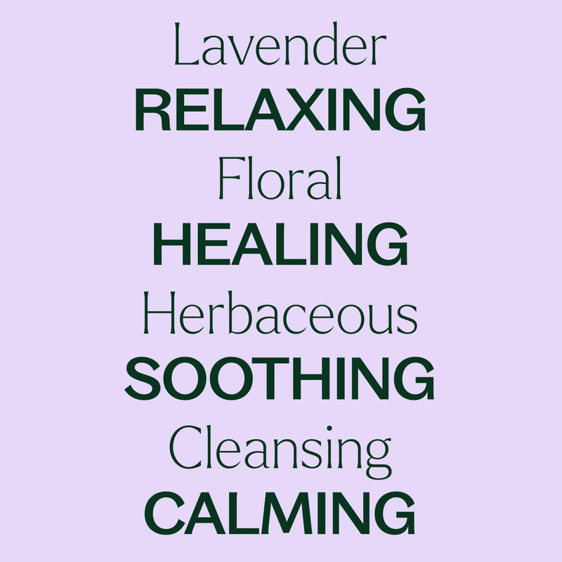 Plant Therapy Lavender Essential Oil - 100% Pure, Undiluted, Therapeutic Grade, 100 mL
