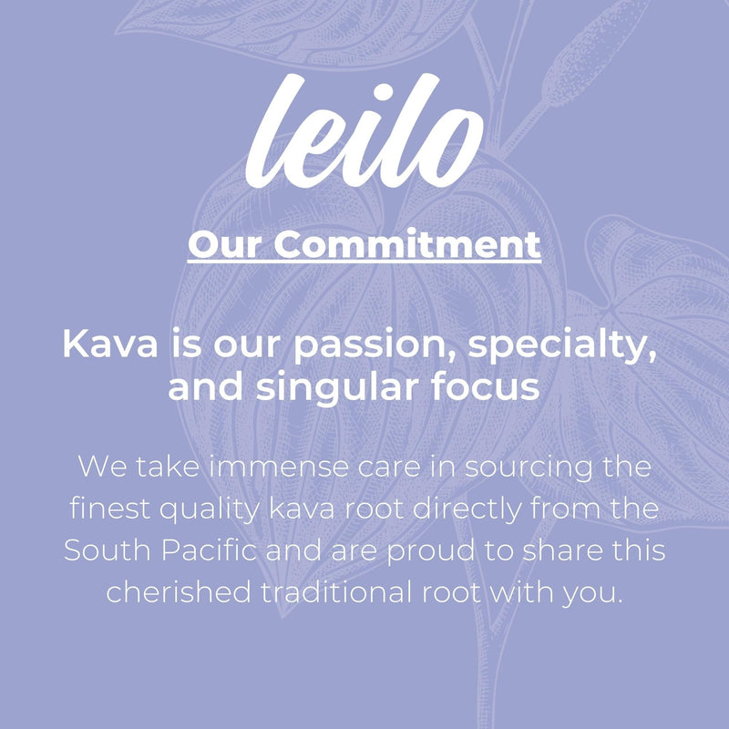 LEILO Kava Powered Sparkling Relaxation Drink – Blackberry Orange 12-Pack | Non-ALC Calming Beverage | 12 fl oz Cans