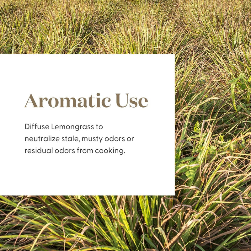 Lemongrass Essential Oil by Young Living – 15 mL | Topical & Aromatic