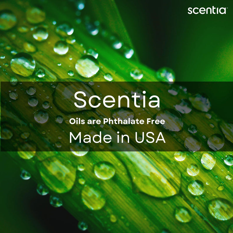 Scentia Hotel Diffuser Oil – Delano Beach Club Inspired California Breeze 500 mL