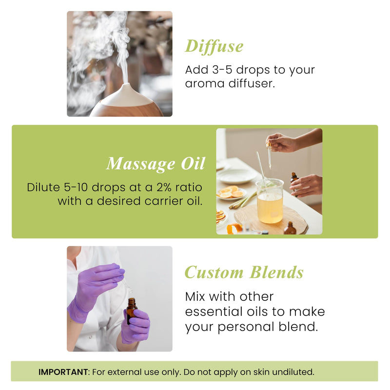 Lemongrass Essential Oil – Handcraft Blends | 1 Fl Oz, Pure & Natural