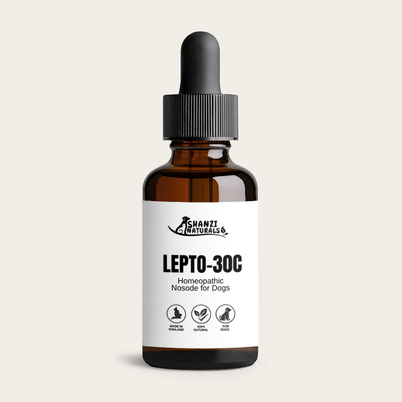 Lepto 30c Nosode