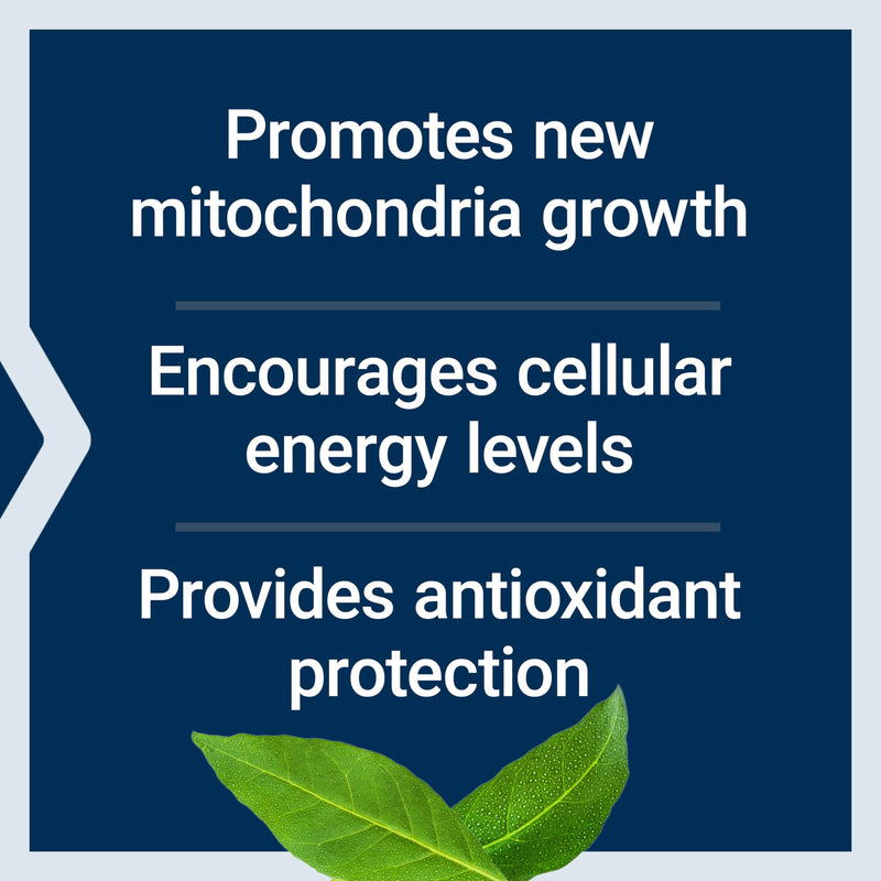 Life Extension PQQ 20 mg – Promotes New Mitochondria | Gluten-Free, Non-GMO, Vegetarian