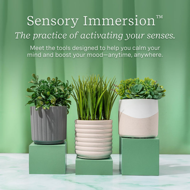 Lifelines Plant Diffuser Bundle — 2 ClickWick Essential Oil Blends | Rechargeable Faux Plant Diffuser & Modern Planter