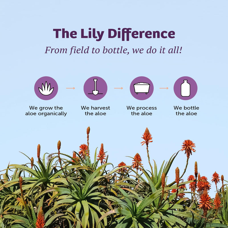 Lily of the Desert Aloe Vera Herbal Detox Formula – 32 oz | Gut Health & Liver Support