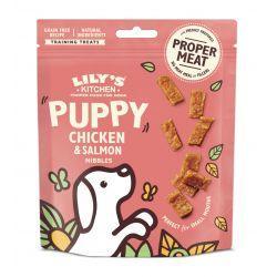Lily's Kitchen Puppy Treats Chicken and Salmon, 70g - Case of 8