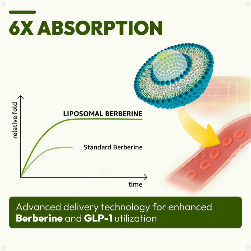 Liposomal GLP-1 Supplement for Metabolic Support - Berberine 600mg + Bergamot & Cinnamon - 180 Capsules (90-Day Supply)