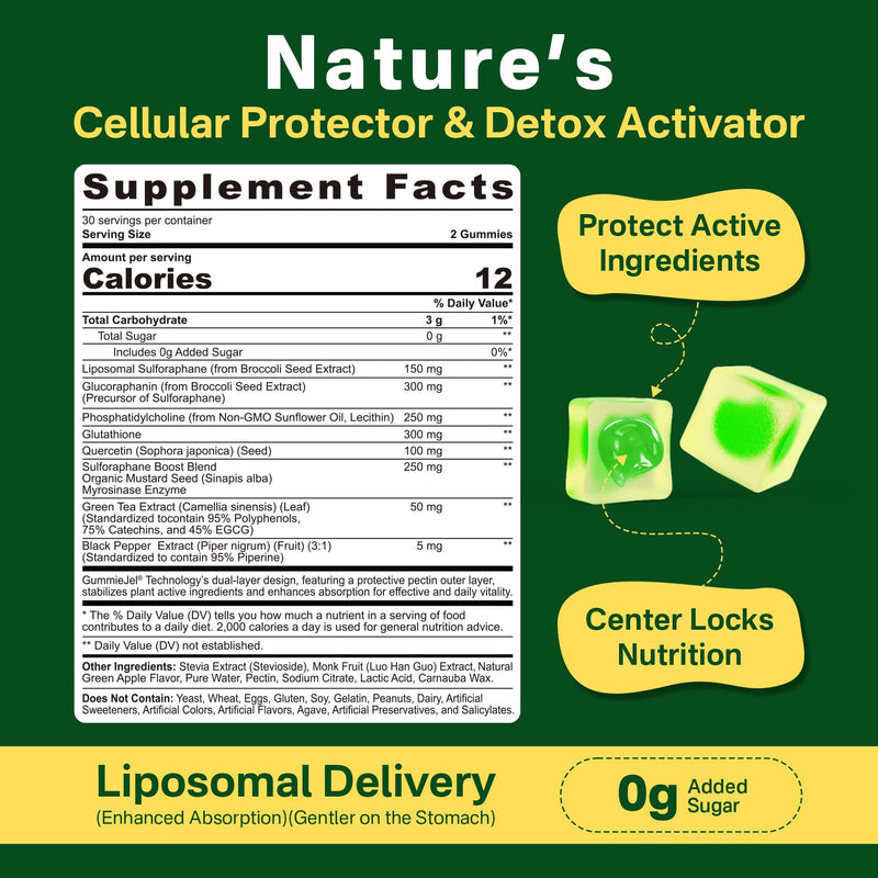 Liposomal Sulforaphane 150mg Gummies – Broccoli Seed Extract, Myrosinase, 60 Count