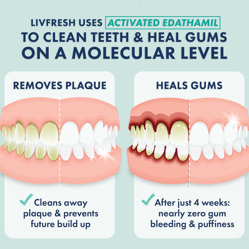 LIVFRESH Toothpaste Gel Wintergreen 3 Pack – Clinically Proven