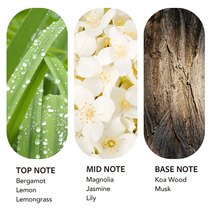 Luxury Hotel Scent Diffuser Oil – 24K Aura Lemongrass (500ml) Waterless, Non-Toxic for Large Rooms, Cars & Home