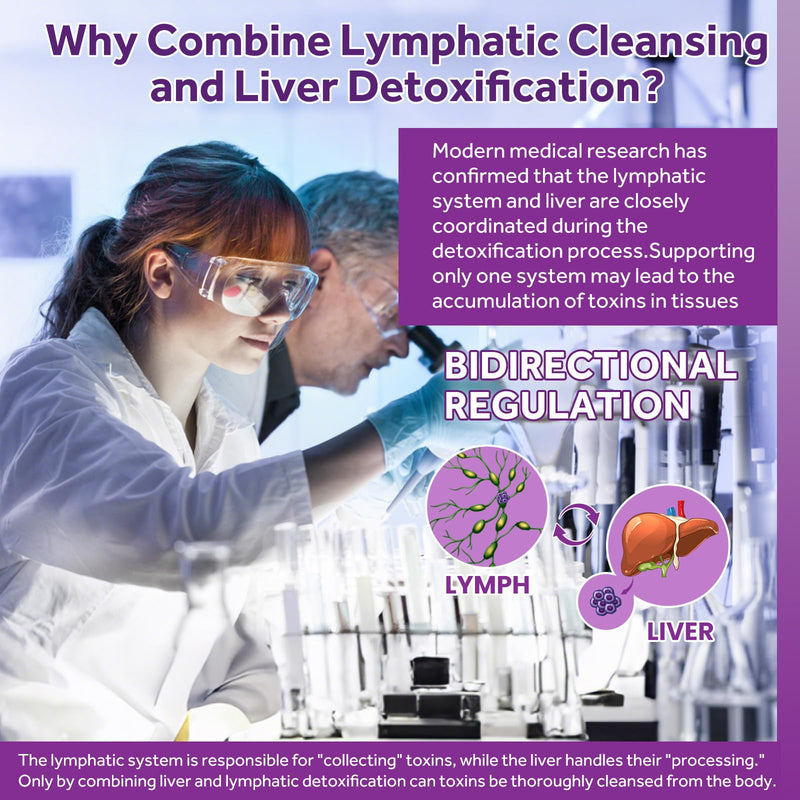 Lymphatic Drainage & Liver Cleanse Drops | Liposomal Milk Thistle, Artichoke, Turmeric | Vegan 2 Fl Oz