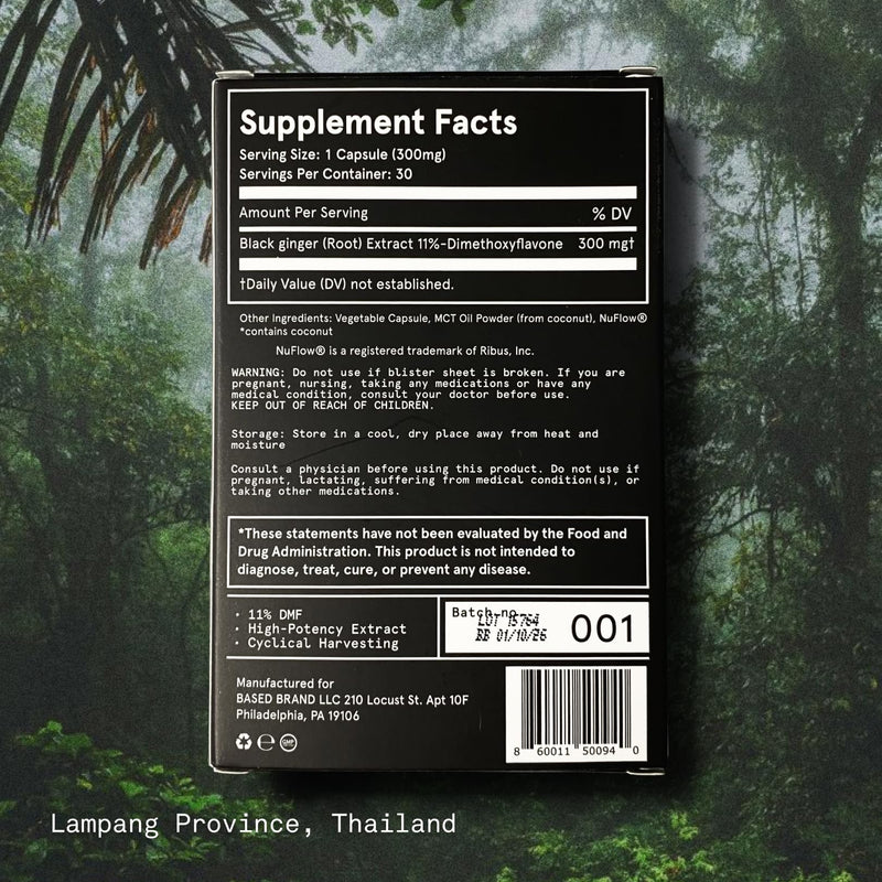 Based Supplements Black Ginger - Premium Thai Root Extract (300mg, 30 Capsules) | 16% Methoxyflavones & 11% DMF