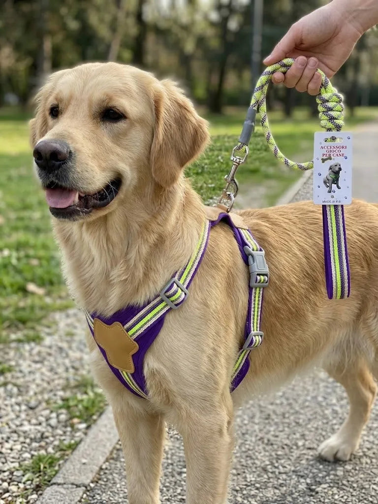 Dog Leash Length, Width, Thickness, 193G