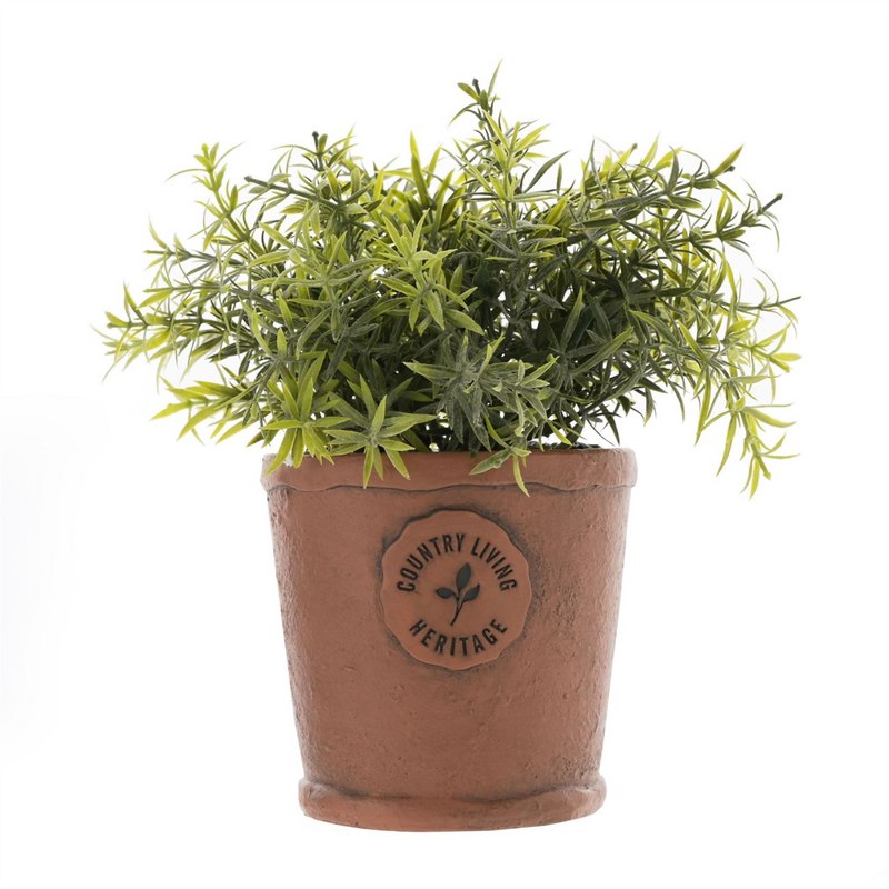 Country Living Aged Herb Pot 10cm Diameter