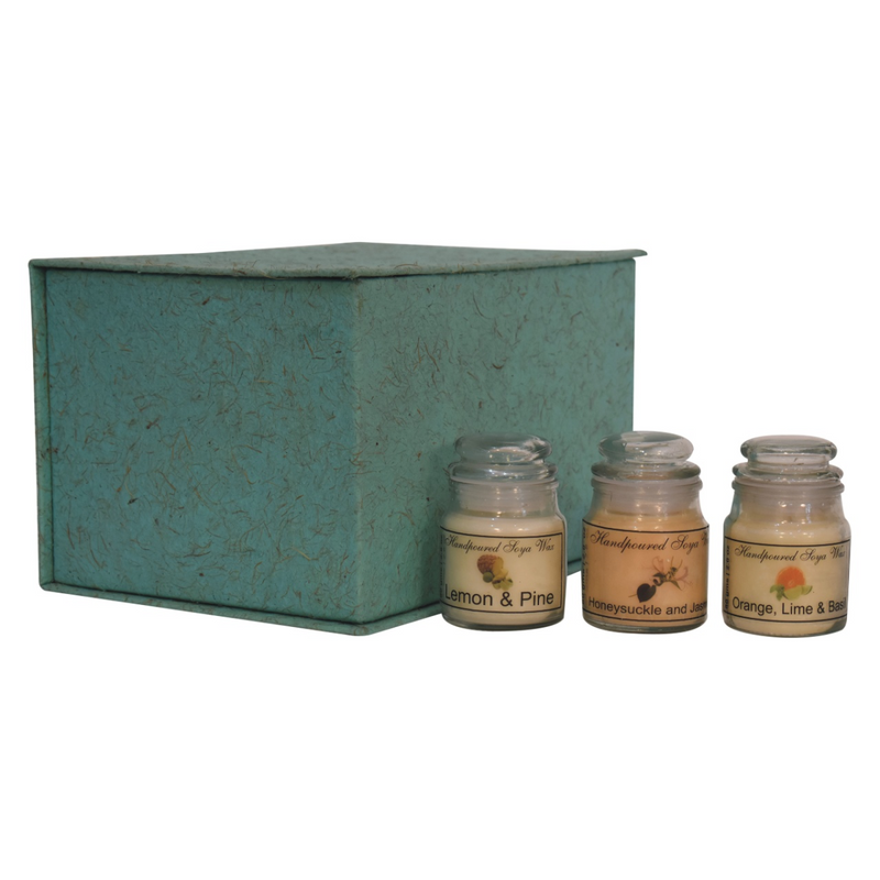 Artisan Furniture Hourglass Candle Set of 3 (Fruit)