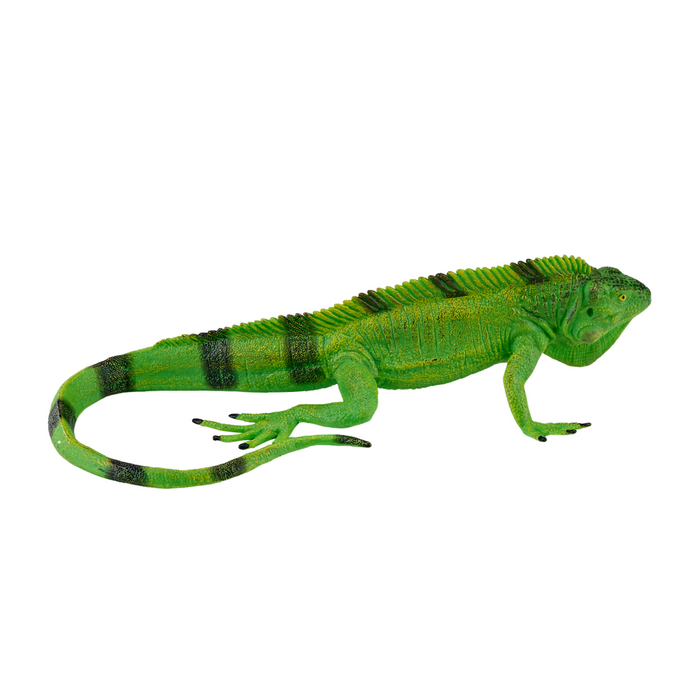 Iguana Toy Realistic Reptile Figurine