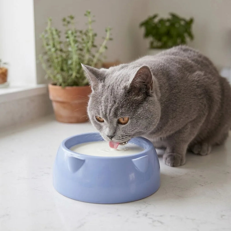 Cat Bowl Assorted Colours 113G