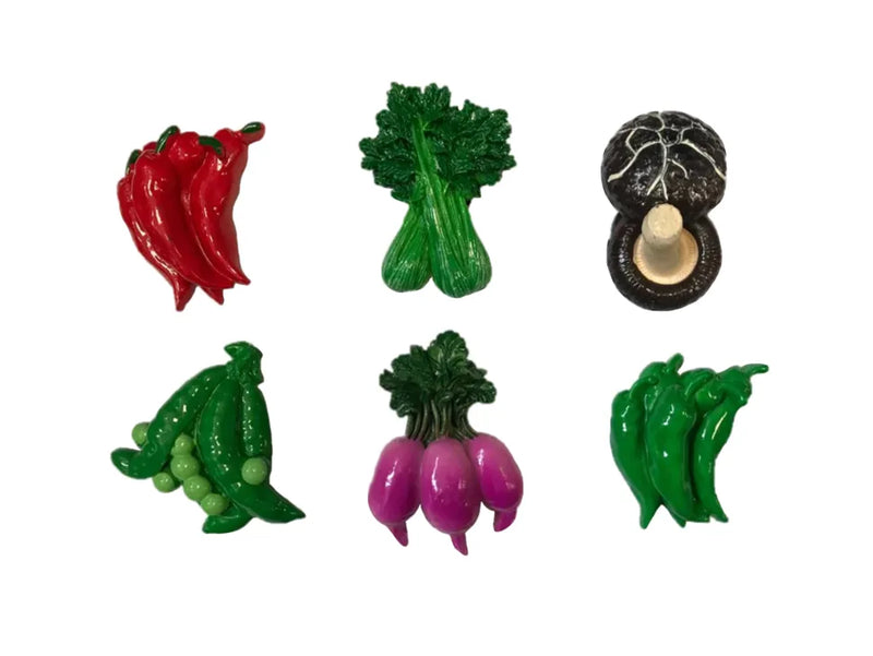 Fridge Magnet Vegetable Design Assorted Designs