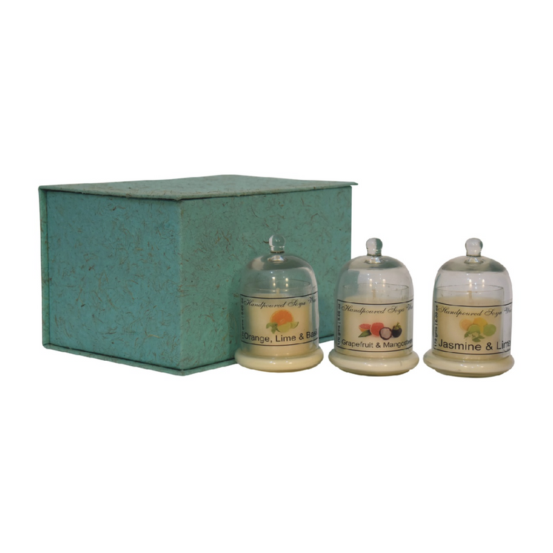 Artisan Furniture Bell Jar Candle Set of 3 (Fruit)