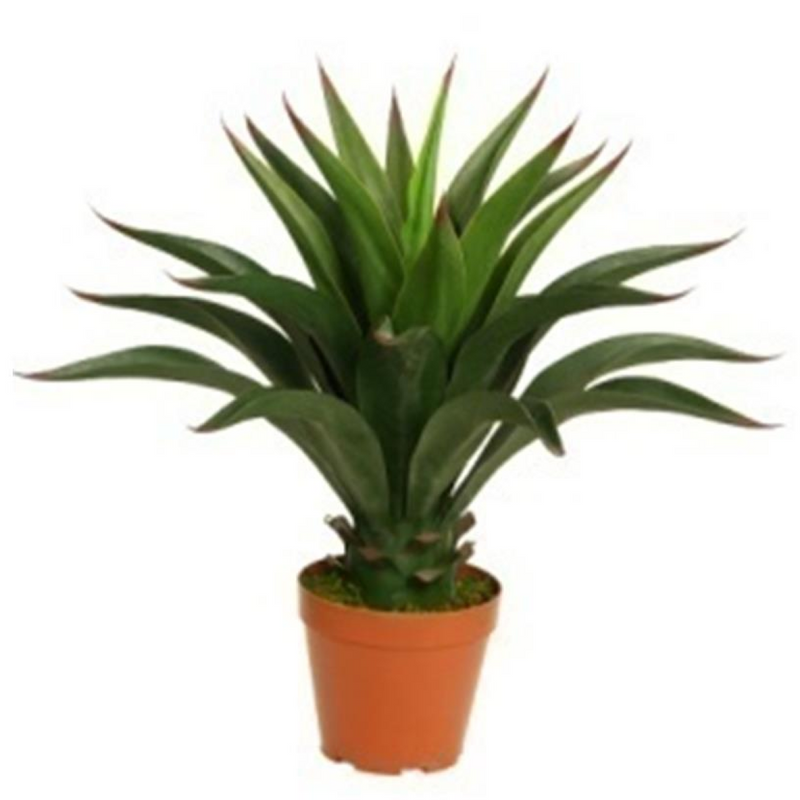 60cm Deluxe Yukka Artificial
