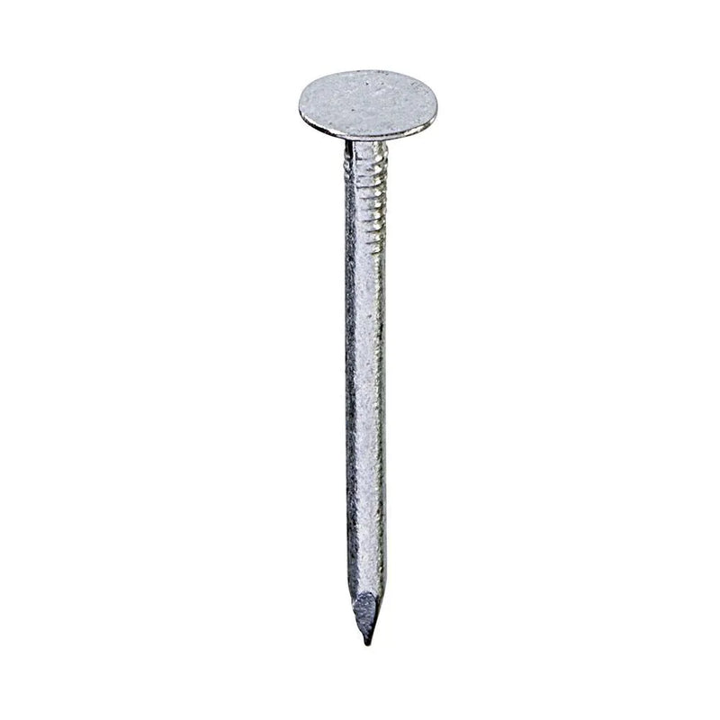 Galv Clout Nail x tra Value Diy
