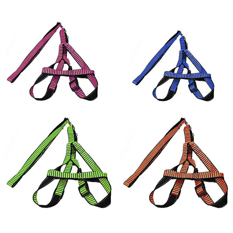 Pet Dog Leash With Harkness Assorted Colours