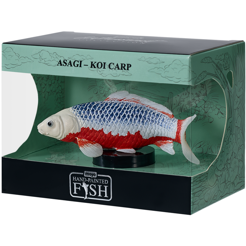 Asagi Koi Carp Mojo Hand Painted Fish