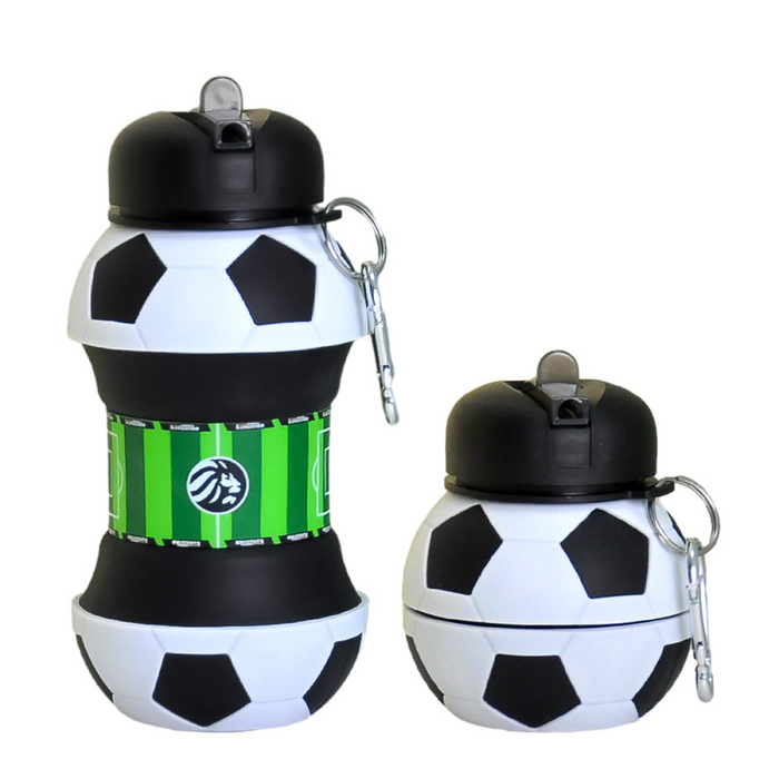 Lionstrike Sports Water Bottle, 550ml