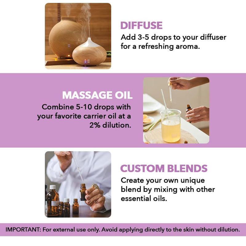 Majestic Pure Lavender Essential Oil (4 Oz x 2) – 100% Pure & Natural with Glass Dropper