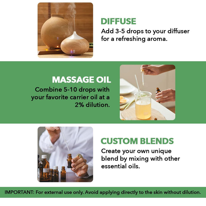 Majestic Pure Tea Tree Essential Oil with Glass Dropper – 100% Pure, 1oz