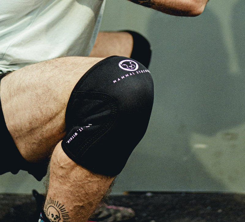 Mammal V2 7mm Knee Sleeves