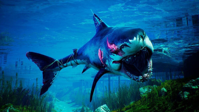 Maneater APEX Edition PS4