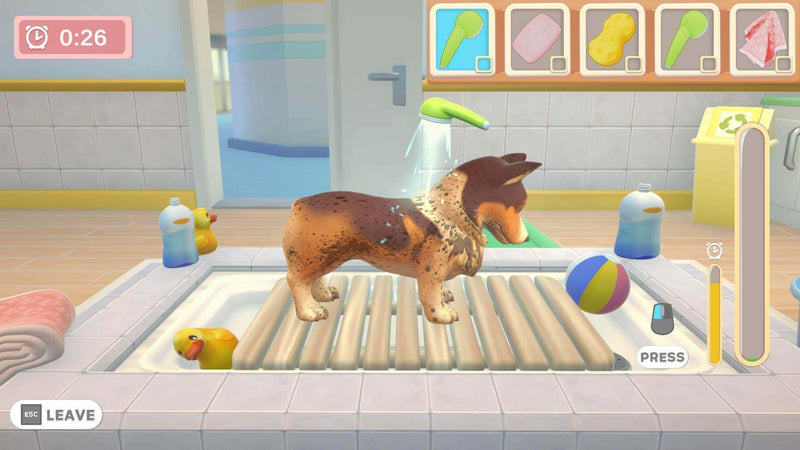 Maximum Games My Universe Pet Clinic PS4