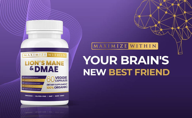 Maximum Slim Lion's Mane & DMAE Capsules – Memory & Focus Support (60 Caps)